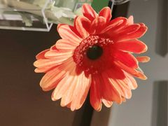 -汤城小厨•粤菜•靓汤(西直门凯德MALL店)