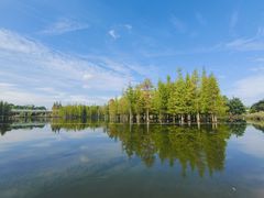 -白鹭湾湿地公园