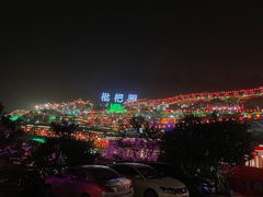 -枇杷园食为鲜火锅(南山店)
