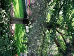 -宣武艺园