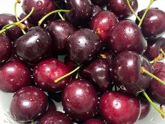 -鲜力达果品批发直销(汇金店)