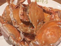 -赶海部落海鲜城(海阳路店)