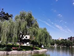 -团结湖公园