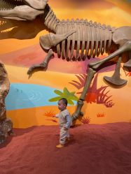 -北京科学中心儿童乐园