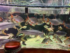 -太平洋海底世界