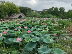 -长广溪湿地公园