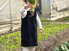 -前小桔亲子创意农场·草莓采摘·露营烧烤