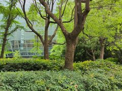 -东怡大酒店(上海科技馆店)