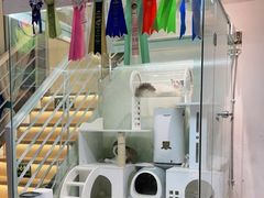 -喵喵咪呀布偶猫咖(春熙路店)