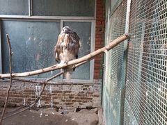 -青岛森林野生动物世界