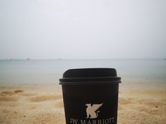 -富国岛翡翠湾 JW 万豪度假酒店
