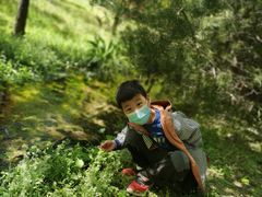 -泰安地下龙宫景区