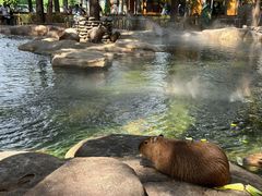 -北京野生动物园