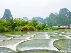-明仕田园