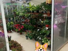 -无锡文化工艺品市场(槐古路店)