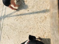 -前小桔亲子创意农场·草莓采摘·露营烧烤