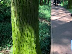 -同里国家湿地公园