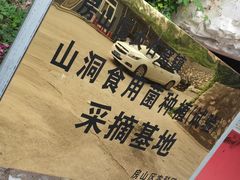 -仙蘑洞