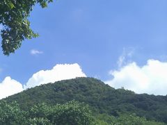 -莫干山风景区