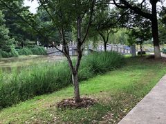 -堤角公园