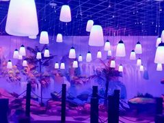 -顺德南宏海立方海洋公园