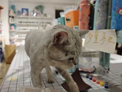 -大悦城(沈阳中街店)