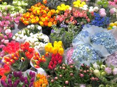 -双季花艺园艺市场(浦东店)