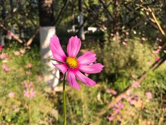 -回龙观体育文化公园