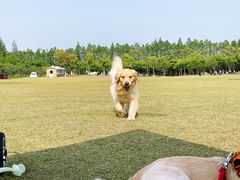 -前小桔亲子创意农场·草莓采摘·露营烧烤