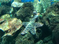 -锦艺城海洋馆