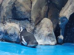 -青岛海底世界-水族馆