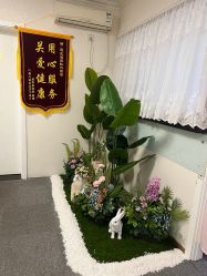 -寇氏减肥