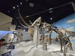 -国家自然博物馆