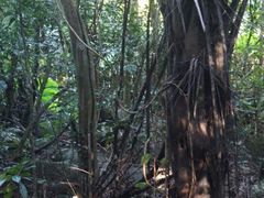 -七仙岭温泉国家森林公园