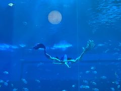 -南昌融创海世界