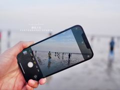 -南汇嘴观海公园