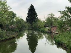 -白鹭湾湿地公园