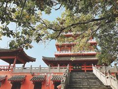 -思念果岭悦温泉