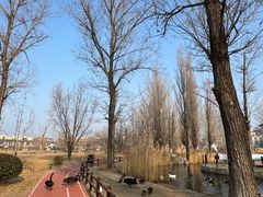 -林栖谷森林康养度假区