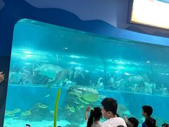 -苏州海洋馆