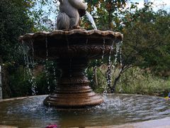 -昆山城市生态森林公园