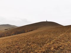 -塞罕坝国家级自然保护区