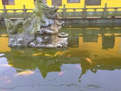 -会龙寺