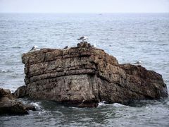 -长岛南北长山旅游景区