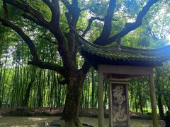 -兰亭风景区