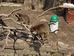 -宁波野生动物园