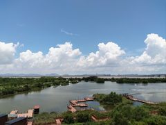 -芒洲湿地公园