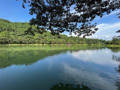 -广州白江湖森林公园