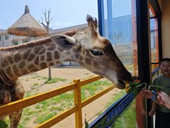 -西霞口神雕山野生动物世界