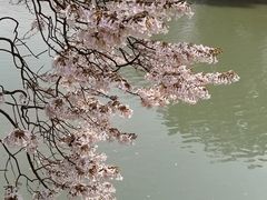 -成都市活水公园